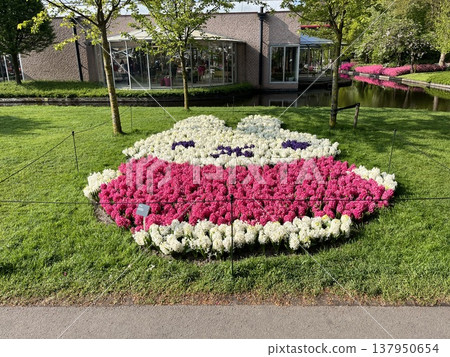Keukenhof Gardens, Netherlands Keukenhof Gardens, Netherlands 137950654