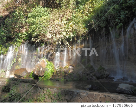 A waterfall with a Ghibli-esque feel in Huayua, El Salvador. A waterfall with a Ghibli-esque feel in Huayua, El Salvador. 137950666