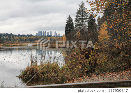 View Of Metrotown From Burnaby Lake 137950847