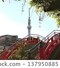 東京晴空塔和龜戶天神紅橋 137950885