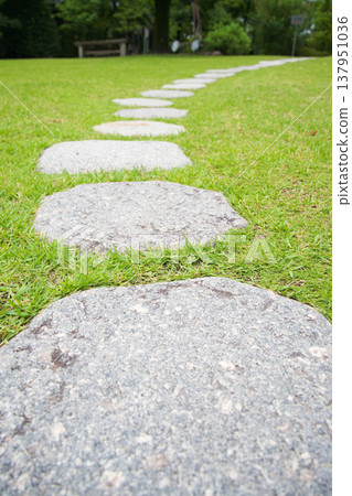 Stepping stones leading to a grassy garden Stepping stones leading to a grassy garden 137951036