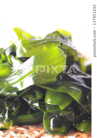 裙帶菜 裙帶菜 137951832