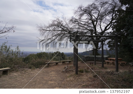 八太子城遺址的松木庫魯瓦（圍場） 137952197