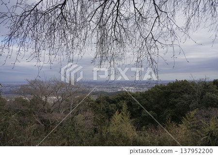 八太子城遺址的松木庫魯瓦(圍場) 八太子城遺址的松木庫魯瓦(圍場) 137952200