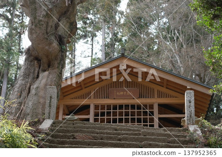 八王子城市市場的八王子神社 137952365