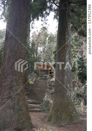 八王子城市市場的八王子神社 八王子城市市場的八王子神社 137952366