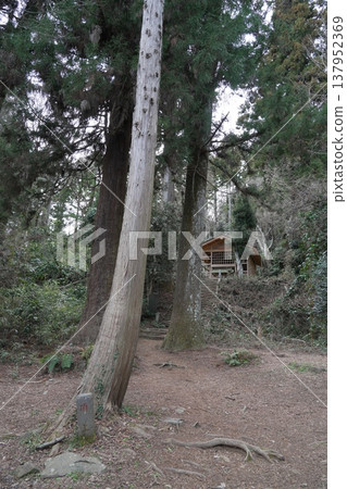 八王子城市市場的八王子神社 137952369