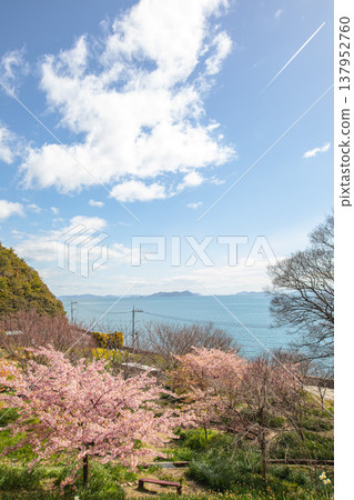 一個遍布野生山茶花和水仙花的村莊，將冬天的接力棒傳給春天。 137952760