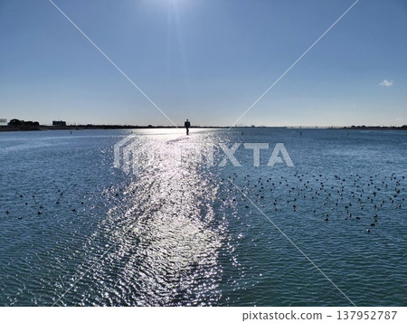 Water birds standing by the Ibi River 137952787