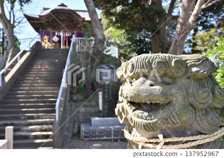 A walk around Iwatsuki: Atago Shrine - Komainu (guardian lion-dogs) 137952967