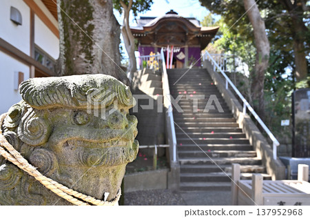 A walk around Iwatsuki: Atago Shrine - Komainu (guardian lion-dogs) 137952968