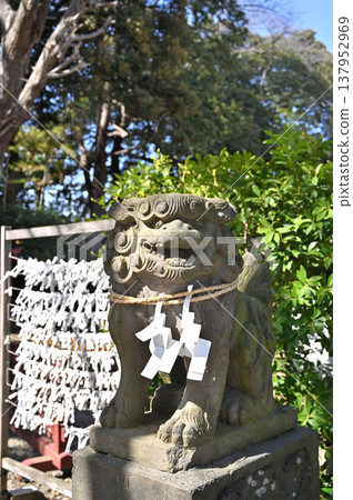 A walk around Iwatsuki: Atago Shrine - Komainu (guardian lion-dogs) 137952969