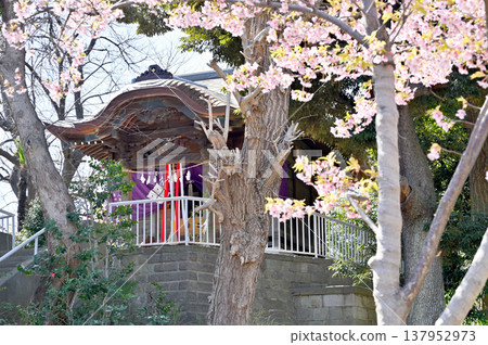 A walk around Iwatsuki: Atago Shrine, Iwatsuki Castle Great Wall 137952973