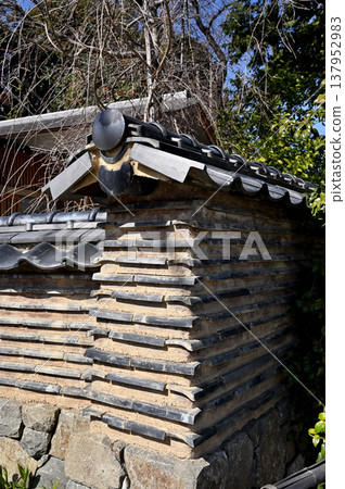 A walk around Iwatsuki: Atago Shrine and its earthen wall 137952983
