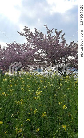 Warm spring weather Warm spring weather 137954020