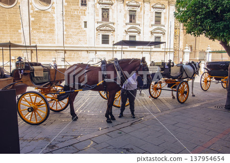 Horse-drawn carriages on a street corner in Granada, Spain. 137954654