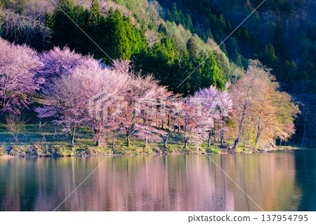 Yoh Yamazakura of Lake Nakanishi 137954795