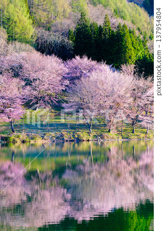 Yoh Yamazakura of Lake Nakanishi 137954804