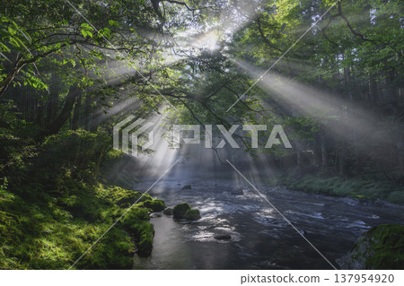 沐浴在陽光下的山谷 沐浴在陽光下的山谷 137954920