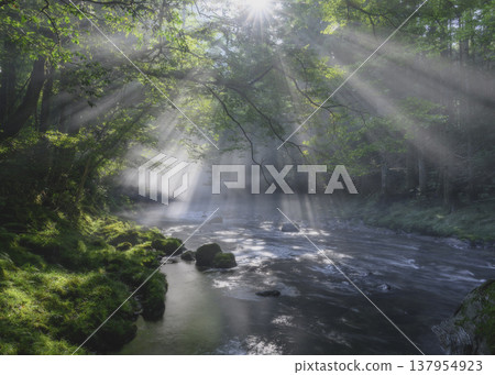 A valley bathed in light A valley bathed in light 137954923