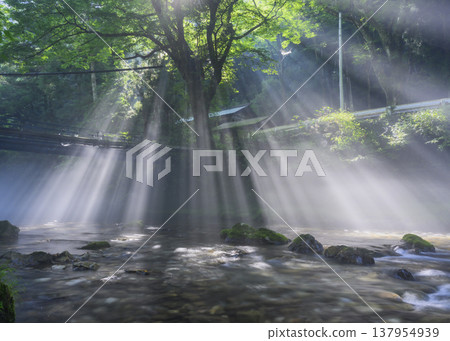 A valley bathed in light 137954939