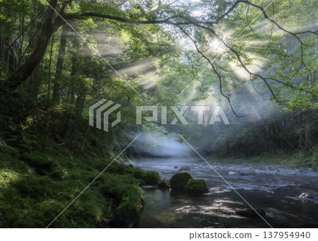 A valley bathed in light 137954940