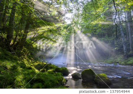 A valley bathed in light 137954944