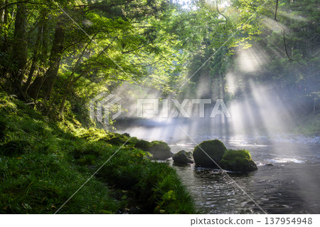 沐浴在陽光下的山谷 沐浴在陽光下的山谷 137954948