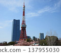 Tokyo Tower as seen from Shiba Park (Minato Ward, Tokyo) 137955030