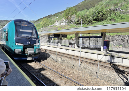 Bergen Railway to Myrdal 137955104
