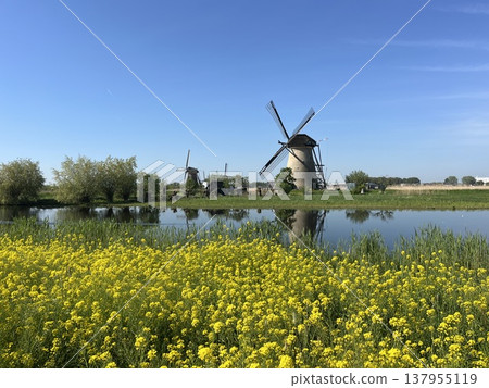 Windmill network of Kinderdijk-Elshaut, The Netherlands Windmill network of Kinderdijk-Elshaut, The Netherlands 137955119