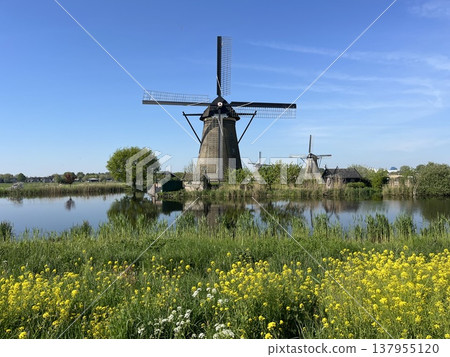 Kinderdijk-Elshaut,荷蘭風車網絡 Kinderdijk-Elshaut,荷蘭風車網絡 137955120
