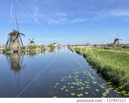Kinderdijk-Elshaut,荷蘭風車網絡 Kinderdijk-Elshaut,荷蘭風車網絡 137955121