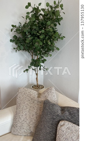 room with natural interior 137955130