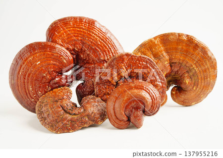 Lingzhi or Reishi mushroom with capsules, organic natural healthy food. 137955216
