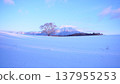 Mount Iwate towering over the snow-covered plains and the single cherry tree at Koiwai Farm. 137955253