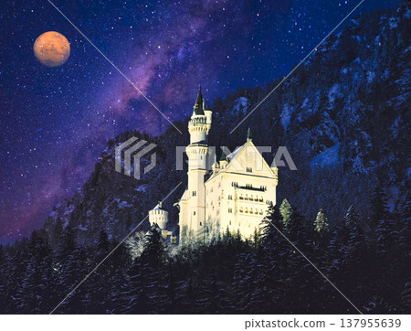 仲冬的新天鵝堡 137955639