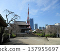 Minato Ward, Tokyo! Zojoji Temple's main hall and Tokyo Tower 137955697
