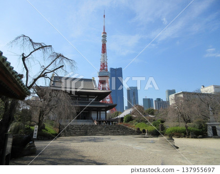 東京港區！增上寺正殿和東京鐵塔 137955697