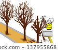 Pruning of roadside trees 137955868