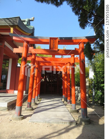 Gongenmiyashosei Shrine Gongenmiyashosei Shrine 137955886