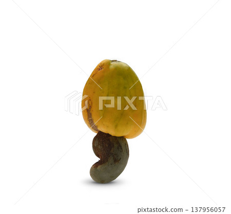 Fresh cashew fruits Fresh cashew fruits 137956057
