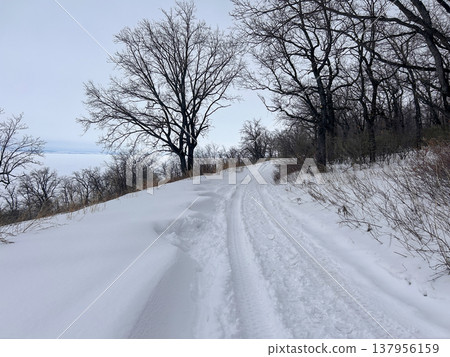 Car tracks in the snow 137956159
