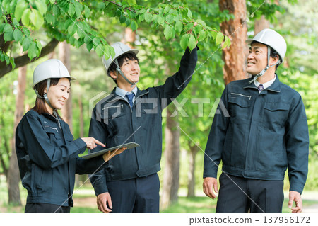 Forest maintenance workers (arborists) who survey, inspect, check, maintain, and conserve trees in forests. 137956172