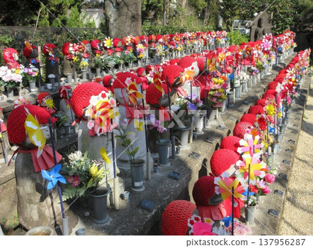 The Jizo statues in the grounds of Zojoji Temple: The Thousand Child-Rearing Jizo Statues 137956287
