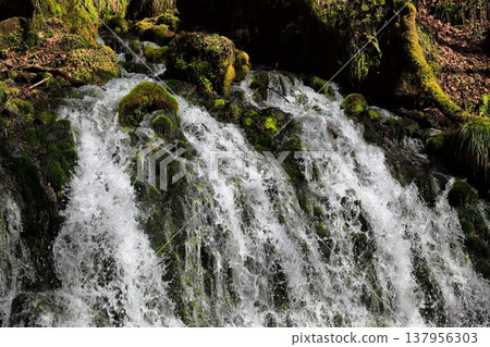 Motoyuki underwater water Motoyuki underwater water 137956303