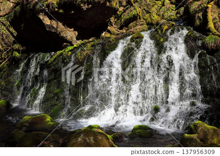 Motoyuki underwater water Motoyuki underwater water 137956309