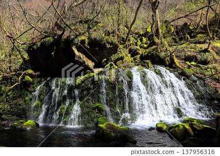 Motoyuki underwater water Motoyuki underwater water 137956316