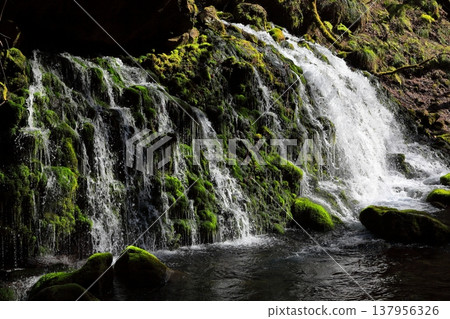 Motoyuki underwater water 137956326