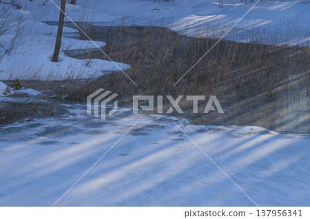 冰雪覆蓋的池塘 冰雪覆蓋的池塘 137956341